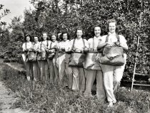 Apple pickers, 1940s